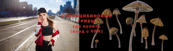 MDMA Premium VHQ Волосово