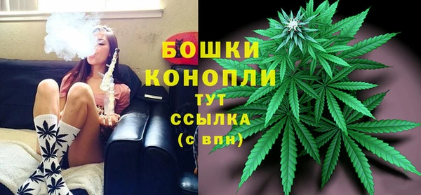 ГАЛЛЮЦИНОГЕННЫЕ ГРИБЫ Покров