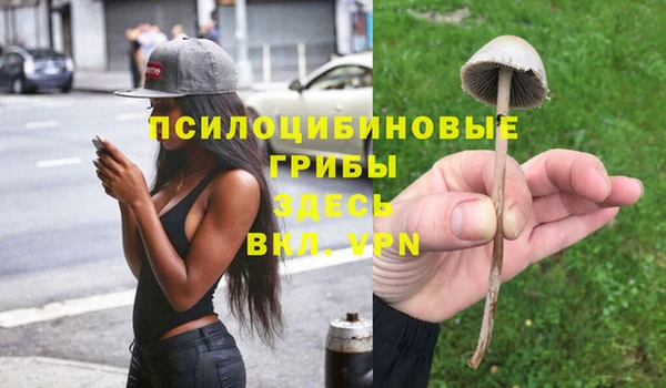 спайс Володарск