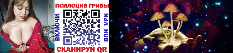 Галлюциногенные грибы Cubensis  omg онион  Пикалёво 